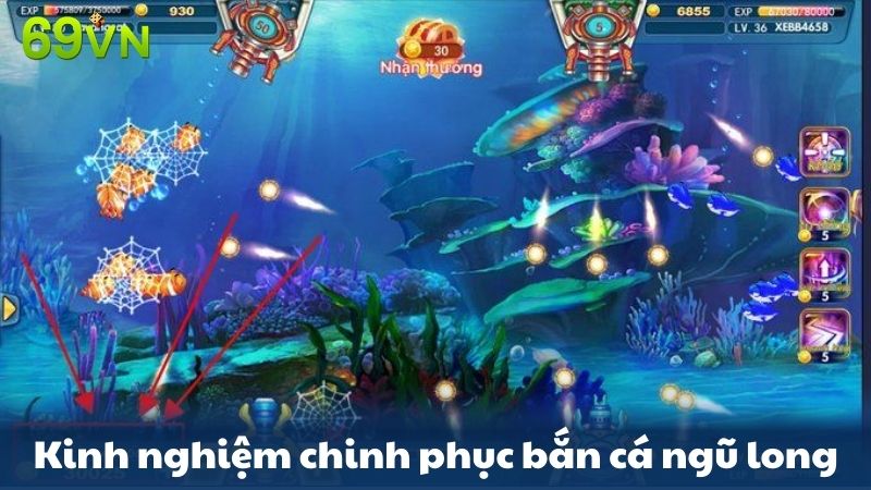 kinh nghiệm chinh phục bắn cá ngũ long