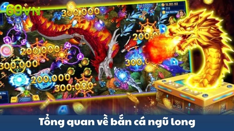 tổng quan về bắn cá ngũ long